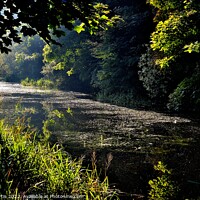 Buy canvas prints of Barnsley Canal South Yorkshire by Tom Curtis