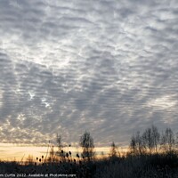 Buy canvas prints of Mackerel Sky at Wath-upon Dearne by Tom Curtis