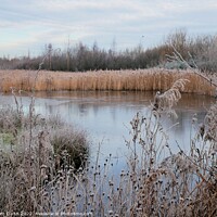 Buy canvas prints of Frozen Lake on a Frosty morning by Tom Curtis
