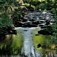 Buy canvas prints of River Worth Haworth by Tom Curtis