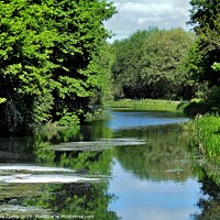 Buy canvas prints of Barnsley Canal South Yorkshire by Tom Curtis