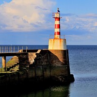 Buy canvas prints of Lighthouse at Amble Northumberland by Tom Curtis