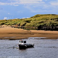 Buy canvas prints of Amble Harbour Northumberland by Tom Curtis