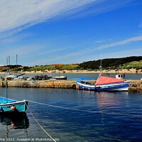Buy canvas prints of Harbour Beadnell Bay by Tom Curtis