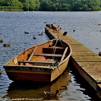 Buy canvas prints of Rowing Boat  Hornsea Mere by Tom Curtis