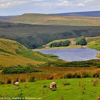 Buy canvas prints of Wessenden Reservoir West Yorkshire by Tom Curtis