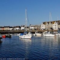 Buy canvas prints of Whithorn harbour scotland by Tom Curtis