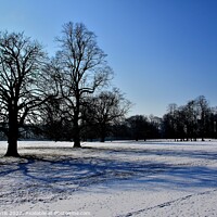 Buy canvas prints of Winter at  Brodsworth South Yorkshire by Tom Curtis