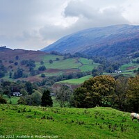Buy canvas prints of From Loughrigg Fell Cumbria by Tom Curtis