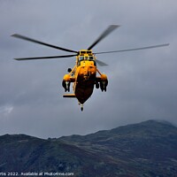 Buy canvas prints of Sea King Helicopter by Tom Curtis