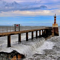 Buy canvas prints of Amble Pier Northumberland by Tom Curtis