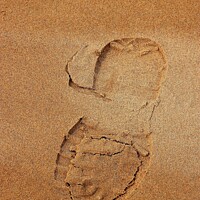 Buy canvas prints of Footprint in the Sand by Tom Curtis