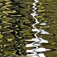 Buy canvas prints of Reflection in the Water by Tom Curtis