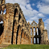 Buy canvas prints of Whitby Abbey North Yorkshire by Tom Curtis
