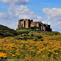 Buy canvas prints of Bamburgh Castle Northumberland by Tom Curtis