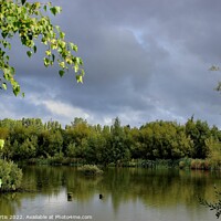 Buy canvas prints of Ferrymoor Flash Nature Reserve by Tom Curtis