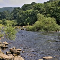 Buy canvas prints of River Wharfe Bolton Abbey  by Tom Curtis