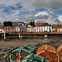 Buy canvas prints of St Monans Harbour by Tom Curtis