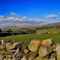 Buy canvas prints of The Dales at Hawes by Tom Curtis