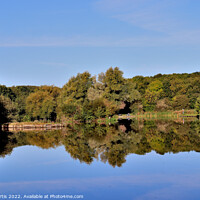 Buy canvas prints of Dearne Valley Park Barnsley by Tom Curtis