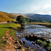Buy canvas prints of Mallerstang Common by Tom Curtis