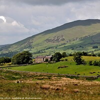 Buy canvas prints of Garsdale Rigg Howgill Fells by Tom Curtis