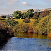 Buy canvas prints of River Ure near Hawes by Tom Curtis