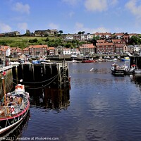 Buy canvas prints of Whitby Harbour North Yorkshire by Tom Curtis