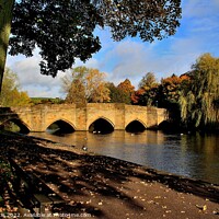 Buy canvas prints of Packhorse Bridge Bakewell Derbyshire by Tom Curtis