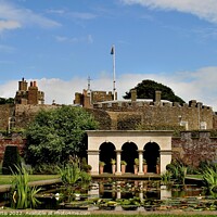Buy canvas prints of Queen Mothers Garden Walmer Castle by Tom Curtis