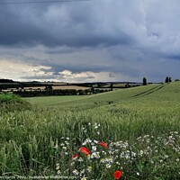 Buy canvas prints of Storm Clouds at Cudworth by Tom Curtis