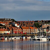 Buy canvas prints of River Esk Whitby North Yorkshire by Tom Curtis