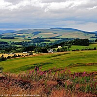 Buy canvas prints of Lanscape near Selkirk by Tom Curtis
