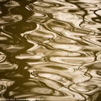 Buy canvas prints of Ripples in Water by Tom Curtis