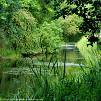 Buy canvas prints of Barnsley Canal by Tom Curtis