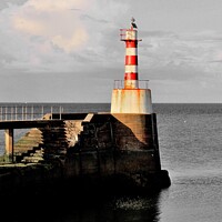 Buy canvas prints of Lighthouse Amble by Tom Curtis