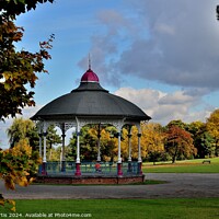 Buy canvas prints of Bandstand Locke Park  by Tom Curtis