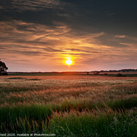 Buy canvas prints of Norfolk Sunset by Jon Wood