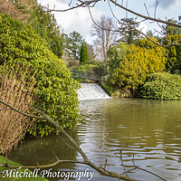 Buy canvas prints of Cascade of Water, Park Gardens by Ann Mitchell
