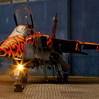 Buy canvas prints of Sepecat Jaguar at RAF Cosford by martin pulling