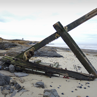 Buy canvas prints of In the shape of a cross - driftwood on the Beach N by john hartley