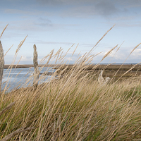 Buy canvas prints of Across the Salt Marsh to the Sea North Norfolk by john hartley
