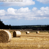Buy canvas prints of Harvest is in! Lines of Rolls of Straw in a Norfol by john hartley