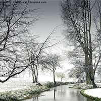 Buy canvas prints of Snowfall at the River Wensum Bintree Norfolk by john hartley