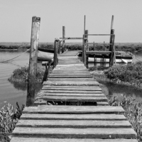 Buy canvas prints of Boardwalk to the Jetty.  Thornham North Norfolk  by john hartley