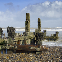 Buy canvas prints of Encrusted sea worn wooden groyne sea defence on Mu by john hartley