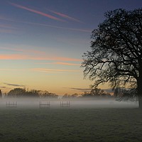 Buy canvas prints of Veil of Mist, silhouetted trees, Sunset over a Win by john hartley