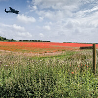 Buy canvas prints of Lancaster Bomber over Poppy Field  by john hartley