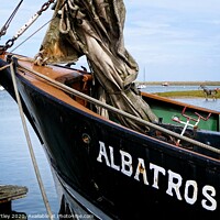 Buy canvas prints of Albatros & the Lifeboat Horse Wells next the Sea by john hartley