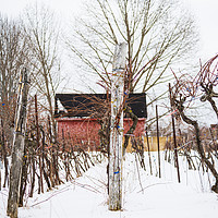 Buy canvas prints of Hibernating Winter Winery by Roxane Bay